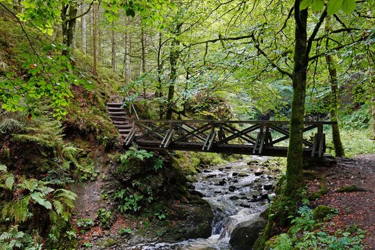 Holzbr&uuml;cke &uuml;berm Ravennabach in der Ravennaschlucht im Schwarzwald