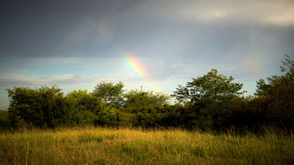 Fototapeta na wymiar rainbow outdoors in the field