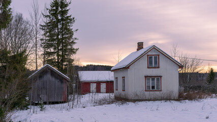 abandoned farm in the winter forest