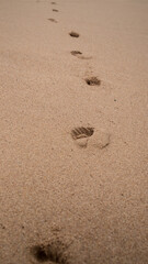 Fototapeta na wymiar Footprints in the sand of the Indian Ocean.