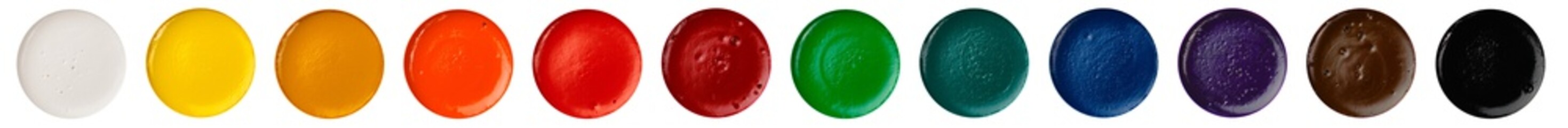 a palette of watercolors of twelve different colors, highlighted on a white background in one row.