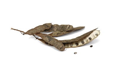 acacia seeds isolated on white background