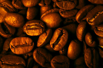 Roasted coffee beans in Golden and brown tones, close-up view from above.
