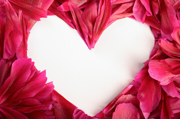 Heart of red peony petals on a white background close-up. Concept for Valentine's day or for a postcard.
