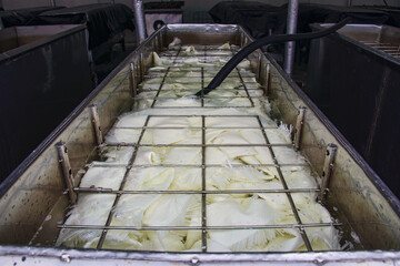 Making the traditional Panama hats (paja toquilla), which actually come from Ecuador, Cuenca, Ecuador
