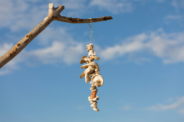 Fototapeta na wymiar handcrafted decoration of pieces of drift wood and , sea shells fluttering in the wind with a blurred back ground