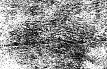 Grunge overlay layer. Abstract black and white background. Monochrome vintage surface with dirty pattern in cracks, spots, dots. Old wall in dark horror style design