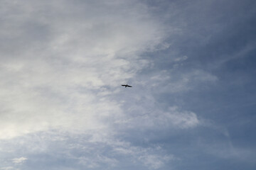 A seagull flying in the cloudy sky