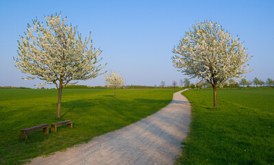 Frühling in Hannover.