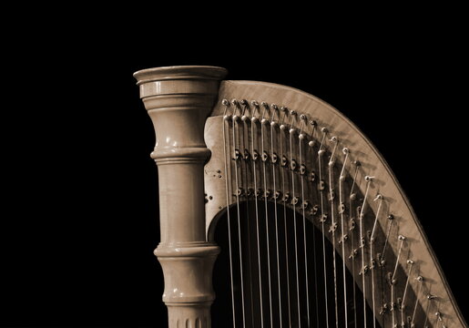 Harp music. Harp instrument closeup. Detail of musical instrument