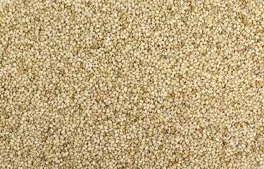 Organic integral sesame seeds isolated on white background.