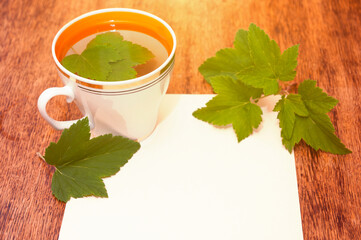 Cup of herbal tea from fresh currant leaves on a wooden background with paper sheet for text