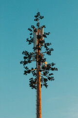 Obraz premium Antenna in desguise
