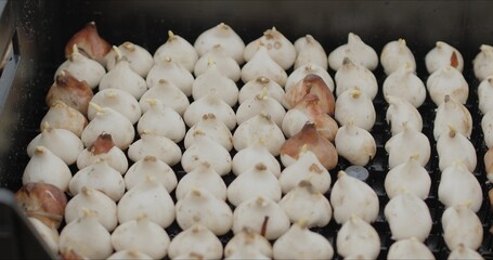 tulip seedlings in a box for planting