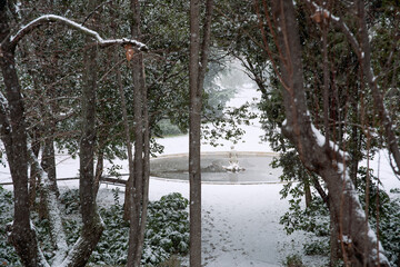 Temporal de nieve en un parque de ciudad. Fuente congelada