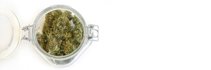 Banner with CBD flower pot and white background