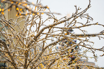 Festive christmas city decoration. New Year's bright golden garlands. Good New Year spirit
