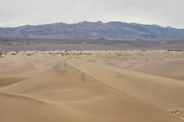 Sand Dunes in Death Valley