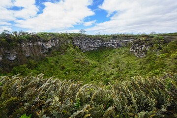 Fototapeta na wymiar Los Gemelos volcanic sinkholes and Scalesia giant daisy trees, Galapagos Islands, Ecuador