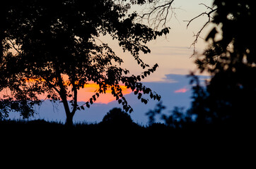 Sunset on the Island