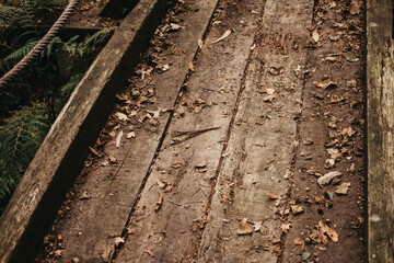 Closeup shot of a wooden walking trail in a forest © Fotoe Commerce/Wirestock