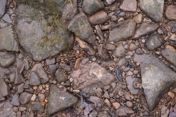 Various stones and rocks along the shore of a creek