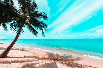 Fototapeta na wymiar Palmtree at the Beach, Mae Nam, ko Samui, Thailand