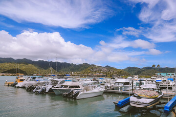 Fototapeta na wymiar wharf in Hawaii kai， Honolulu, Oahu