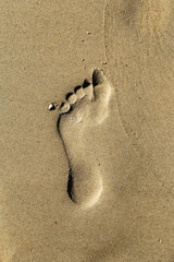 Footprint in the Sand