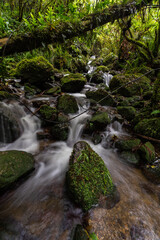 Fototapeta na wymiar A long exposure of a New Zealand waterfall and river in the Tararua ranges