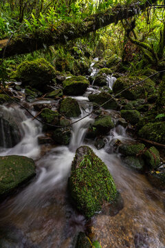 A long exposure of a New Zealand waterfall and river in the Tararua ranges