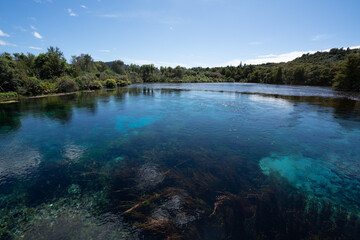 Te Waikoropupu Springs and clear blue pools in New Zealand also known as Pupu springs