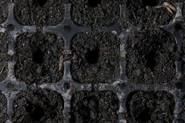 The soil is divided into niches and holes for planting.