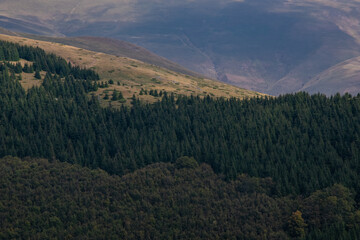 Beautiful mountain landscape of green and yellow meadows on Balkan Mountains in Serbia.Sunlit highlands and grasslands of Old mountain with distant peaks.Hiking trail for the highest peak Midzor 2169m