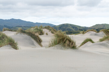 Sand Dunes on Farewell Spit in Golden Bay New Zealand