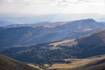 Fototapeta premium Beautiful mountain landscape of green and yellow meadows on Balkan Mountains in Serbia.Sunlit highlands and grasslands of Old mountain with distant peaks.Hiking trail for the highest peak Midzor 2169m