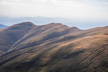 Beautiful mountain landscape of green and yellow meadows on Balkan Mountains in Serbia.Sunlit highlands and grasslands of Old mountain with distant peaks.Hiking trail for the highest peak Midzor 2169m