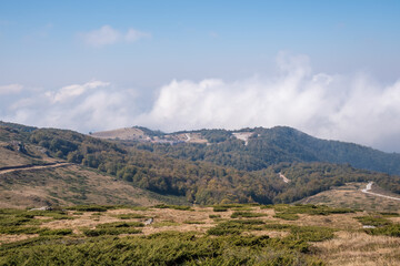 Beautiful mountain landscape of green and yellow meadows on Balkan Mountains in Serbia.Sunlit highlands and grasslands of Old mountain with distant peaks.Hiking trail for the highest peak Midzor 2169m