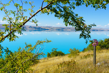 Turquoise blue water of Lake Pukaki with cloud reflections