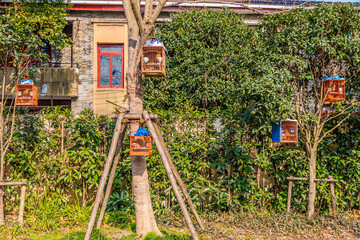 Fototapeta premium Bird cage hanging on the tree in the park