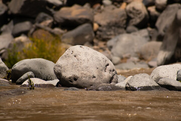 Close up of a rock at the edge of a brown water river with rocks and unfocused grass