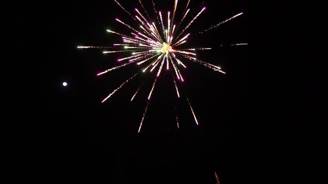 firework at night in happy new year day