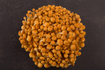 Bunch of fresh Golden Enoki mushrooms isolated.