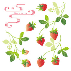 赤いイチゴのイラスト/手ぬぐい風/和柄