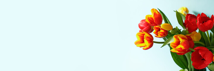 Yellow red tulips on pastel blue background. Happy spring holidays. Birthday, Easter, Mother's day, Valentines, Women's day, Wedding concept. Festive holidays card, invitation banner. Copy space