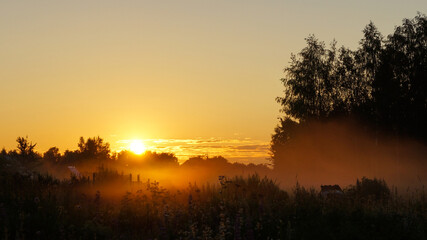 Fototapeta na wymiar A scene of sunrise in a forest on a sunny summer morning with fog. Landscape