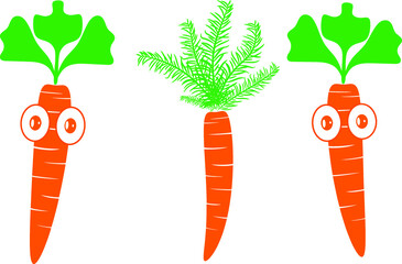 Beautifully shaped carrot with a white background in illustrator