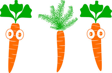 Beautifully shaped carrot with a white background in illustrator