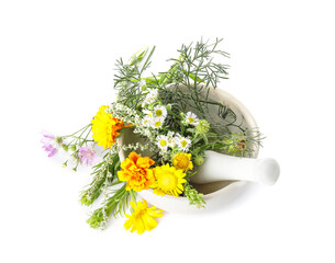 Mortar with different herbs and flowers on white background