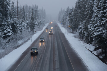 A picturesque dusk time view of cars on a freeway flanked by towering snow covered pine trees -...